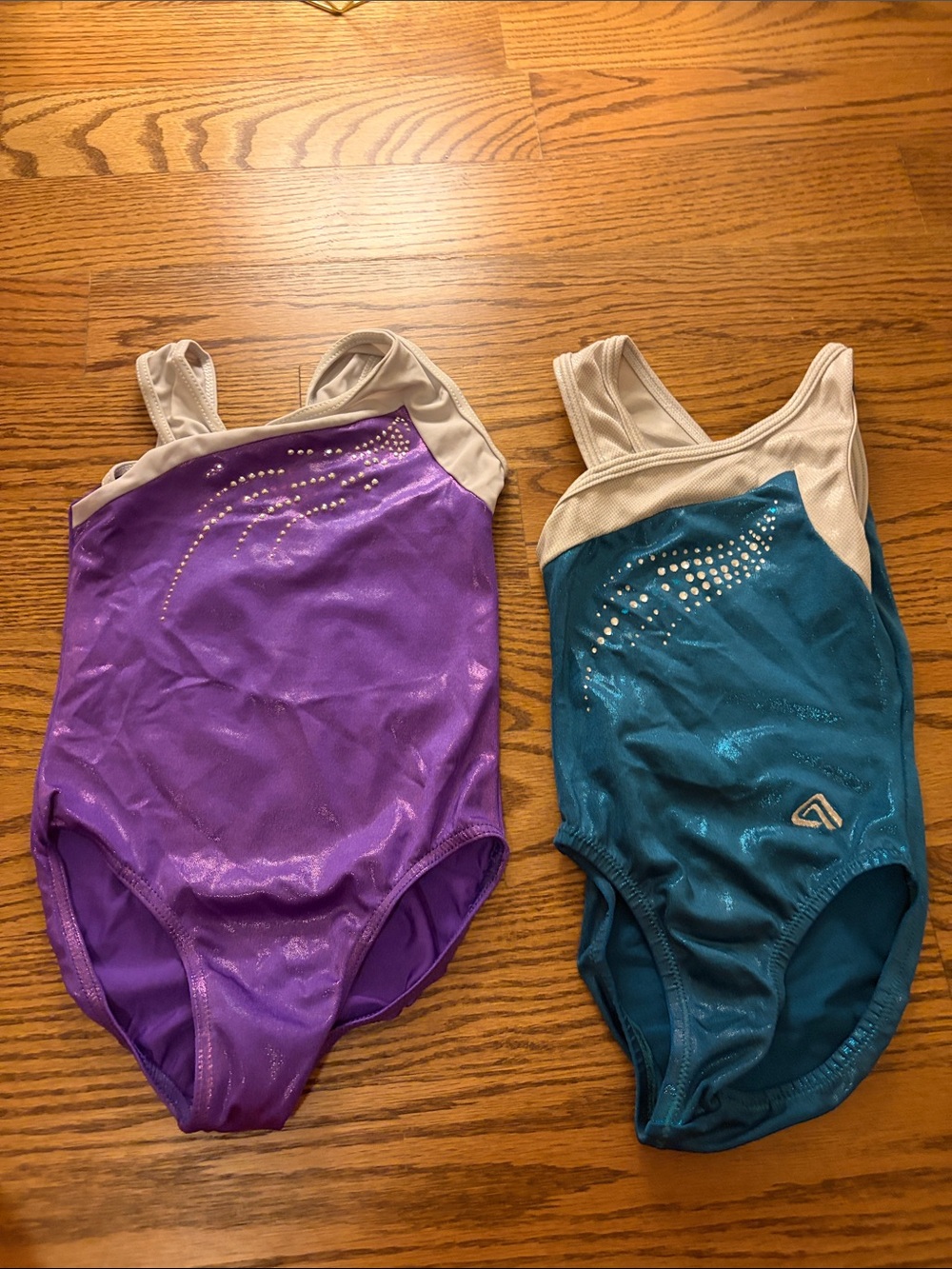 Purple and Blue Shimmery Leotard